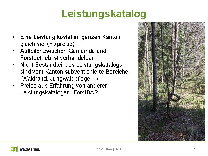 Leistungskatalog • Eine Leistung kostet im ganzen Kanton gleich viel (Fixpreise) • Aufteiler zwischen