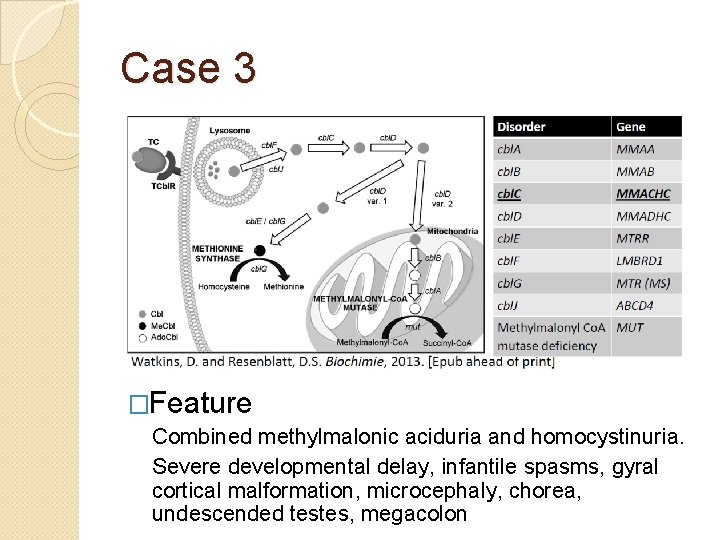 Case 3 �Feature Combined methylmalonic aciduria and homocystinuria. Severe developmental delay, infantile spasms, gyral