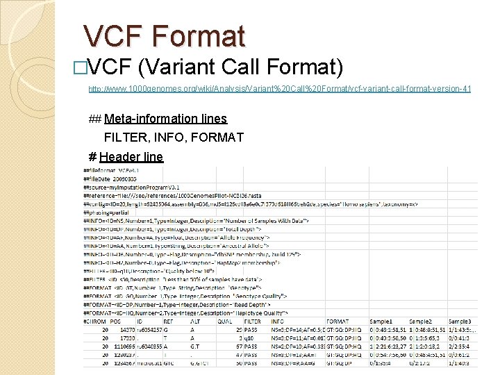 VCF Format �VCF (Variant Call Format) http: //www. 1000 genomes. org/wiki/Analysis/Variant%20 Call%20 Format/vcf-variant-call-format-version-41 ##