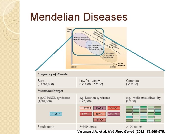 Mendelian Diseases Veltman J. A. et al. Nat. Rev. Genet. (2012) 13: 565 -575.