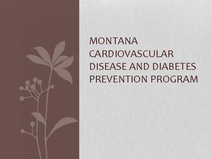 MONTANA CARDIOVASCULAR DISEASE AND DIABETES PREVENTION PROGRAM 