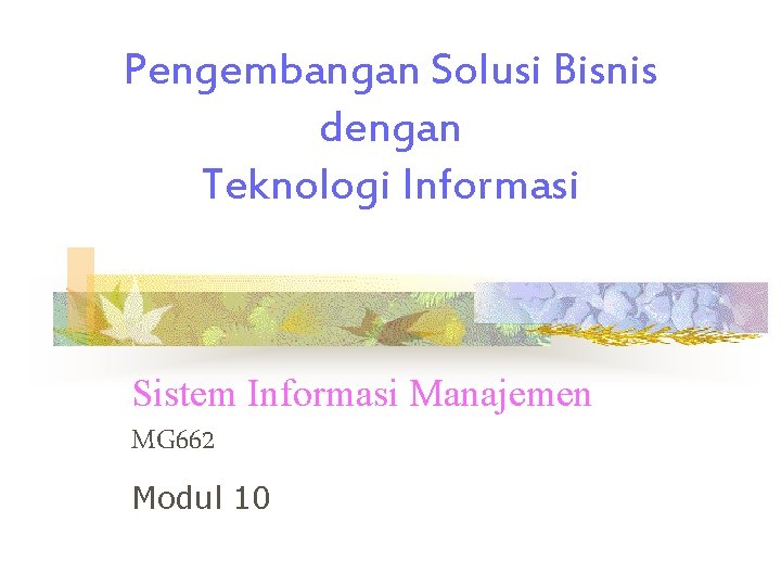 Pengembangan Solusi Bisnis dengan Teknologi Informasi Sistem Informasi Manajemen MG 662 Modul 10 