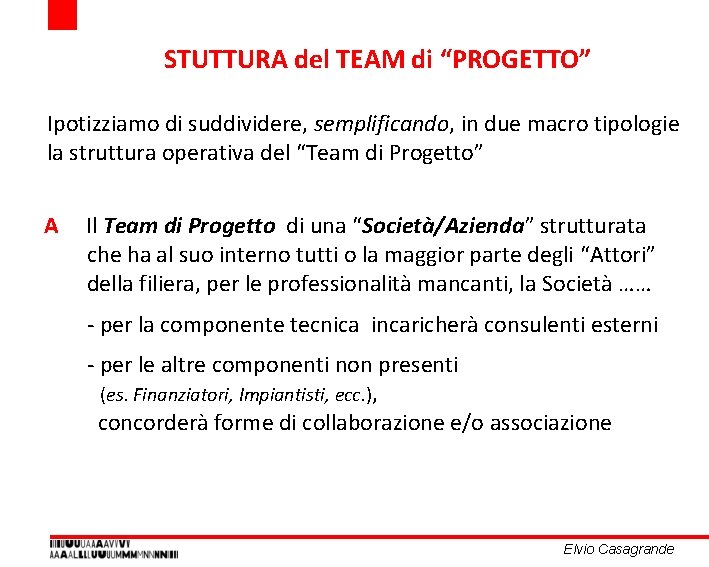STUTTURA del TEAM di “PROGETTO” Ipotizziamo di suddividere, semplificando, in due macro tipologie la STUTTURA del TEAM di “PROGETTO” Ipotizziamo di suddividere, semplificando, in due macro tipologie la