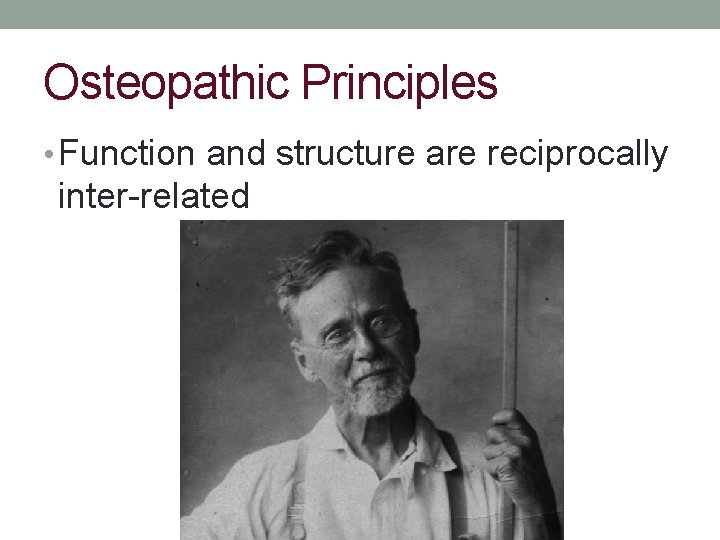 Osteopathic Principles • Function and structure are reciprocally inter-related 