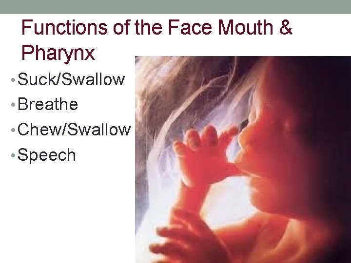 Functions of the Face Mouth & Pharynx • Suck/Swallow • Breathe • Chew/Swallow •