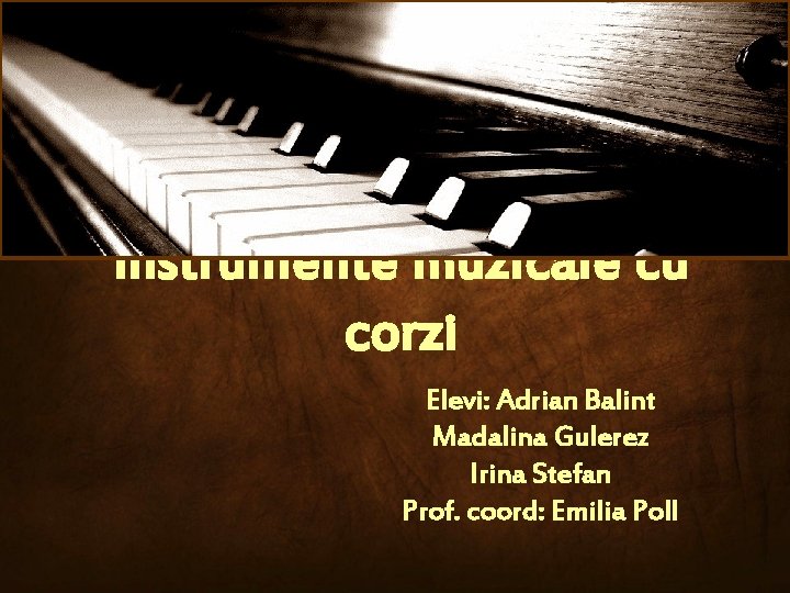 Instrumente muzicale cu corzi Elevi: Adrian Balint Madalina Gulerez Irina Stefan Prof. coord: Emilia