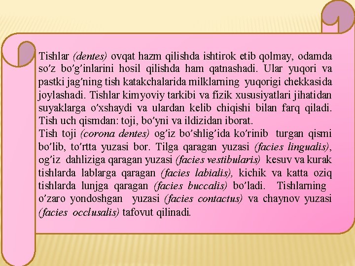 Tishlar (dentes) ovqat hazm qilishda ishtirok etib qolmay, odamda so’z bo’g’inlarini hosil qilishda ham Tishlar (dentes) ovqat hazm qilishda ishtirok etib qolmay, odamda so’z bo’g’inlarini hosil qilishda ham