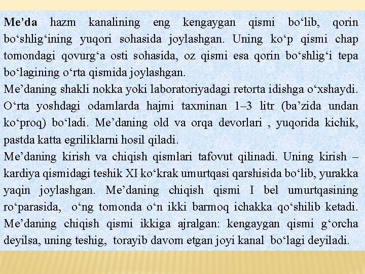 Me’da hazm kanalining eng kengaygan qismi bo‘lib, qorin bo‘shlig‘ining yuqori sohasida joylashgan. Uning ko‘p Me’da hazm kanalining eng kengaygan qismi bo‘lib, qorin bo‘shlig‘ining yuqori sohasida joylashgan. Uning ko‘p