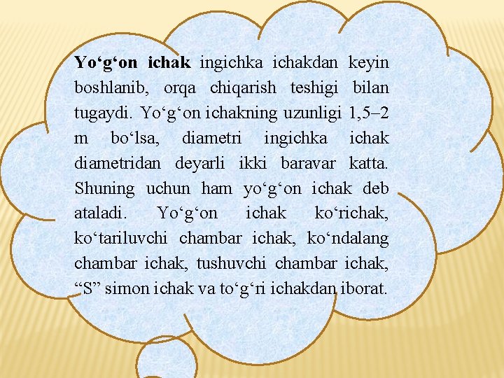 Yo‘g‘on ichak ingichka ichakdan keyin boshlanib, orqa chiqarish teshigi bilan tugaydi. Yo‘g‘on ichakning uzunligi Yo‘g‘on ichak ingichka ichakdan keyin boshlanib, orqa chiqarish teshigi bilan tugaydi. Yo‘g‘on ichakning uzunligi