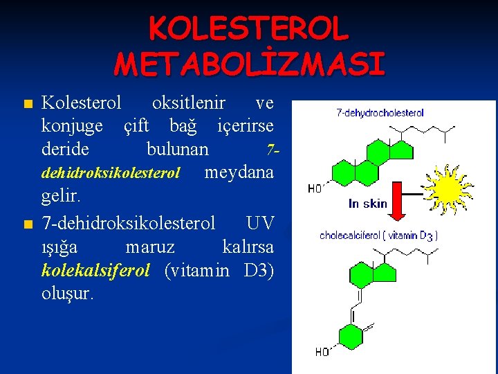 KOLESTEROL METABOLİZMASI n n Kolesterol oksitlenir ve konjuge çift bağ içerirse deride bulunan 7