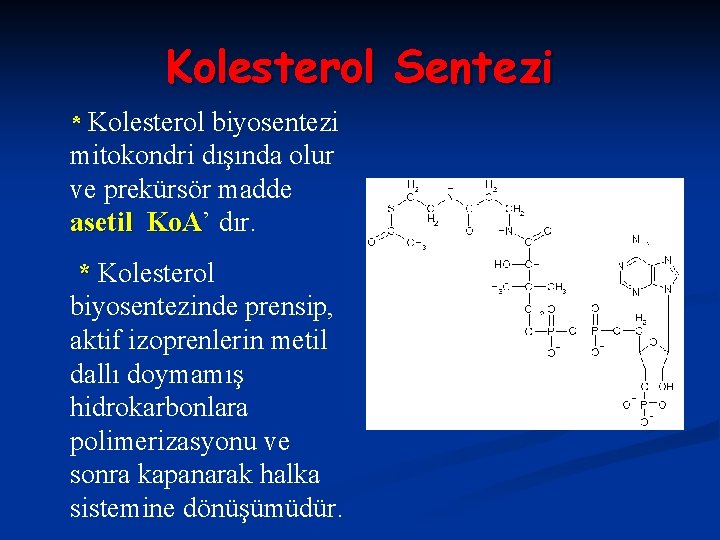 Kolesterol Sentezi * Kolesterol biyosentezi mitokondri dışında olur ve prekürsör madde asetil Ko. A’