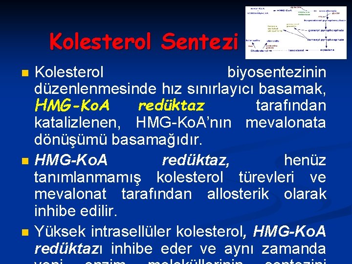 Kolesterol Sentezi n n n Kolesterol biyosentezinin düzenlenmesinde hız sınırlayıcı basamak, HMG-Ko. A redüktaz