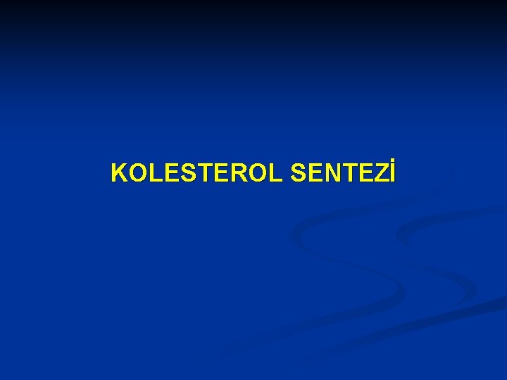 KOLESTEROL SENTEZİ 