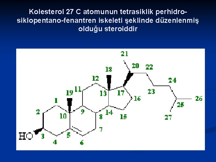 Kolesterol 27 C atomunun tetrasiklik perhidrosiklopentano-fenantren iskeleti şeklinde düzenlenmiş olduğu steroiddir 