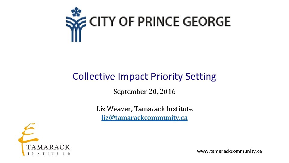 Collective Impact Priority Setting September 20, 2016 Liz Weaver, Tamarack Institute liz@tamarackcommunity. ca www.