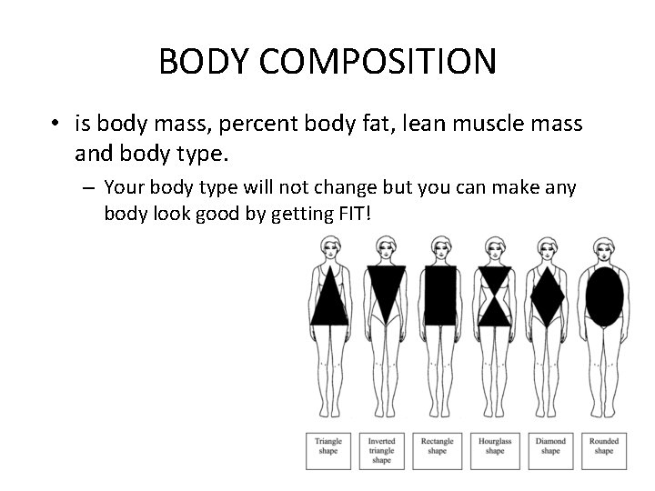 BODY COMPOSITION • is body mass, percent body fat, lean muscle mass and body