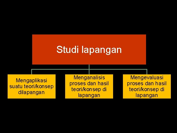 Studi lapangan Mengaplikasi suatu teori/konsep dilapangan Menganalisis proses dan hasil teori/konsep di lapangan Mengevaluasi