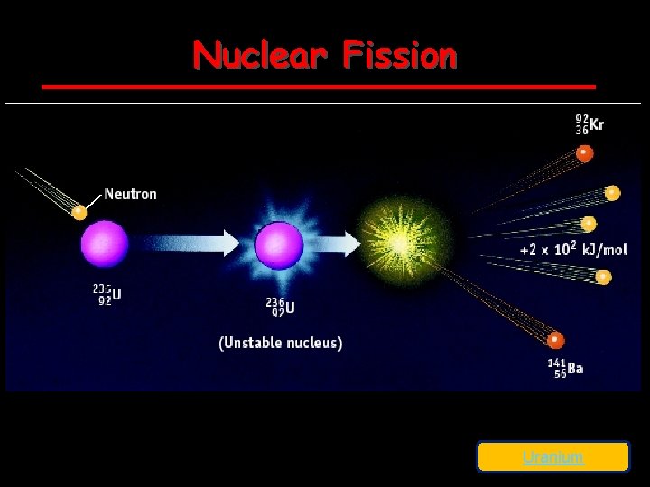 Nuclear Fission Uranium 