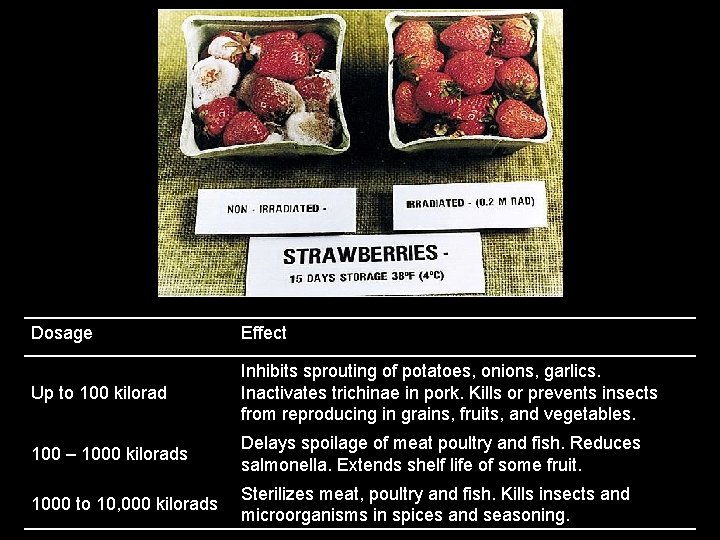 Chemistry In Action: Food Irradiation Dosage Effect Up to 100 kilorad Inhibits sprouting of