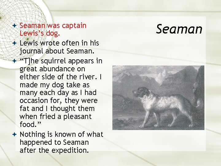  Seaman was captain Lewis’s dog. Lewis wrote often in his journal about Seaman.