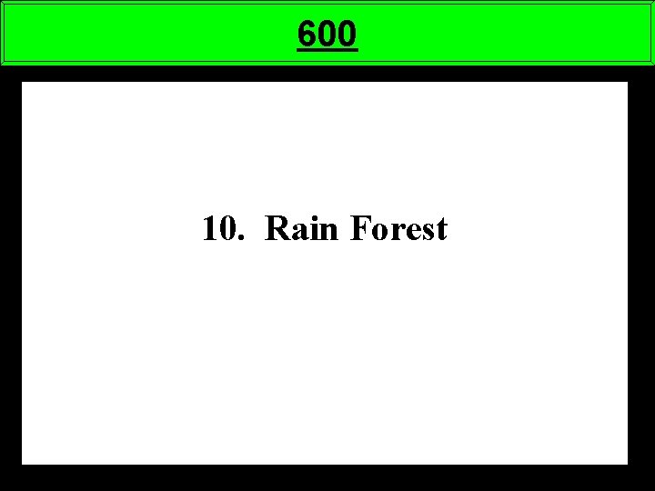 600 10. Rain Forest 