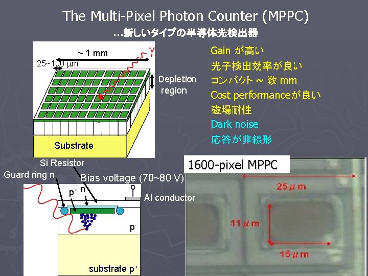The Multi-Pixel Photon Counter (MPPC) …新しいタイプの半導体光検出器 ~ 1 mm 25~100 m Depletion region Substrate