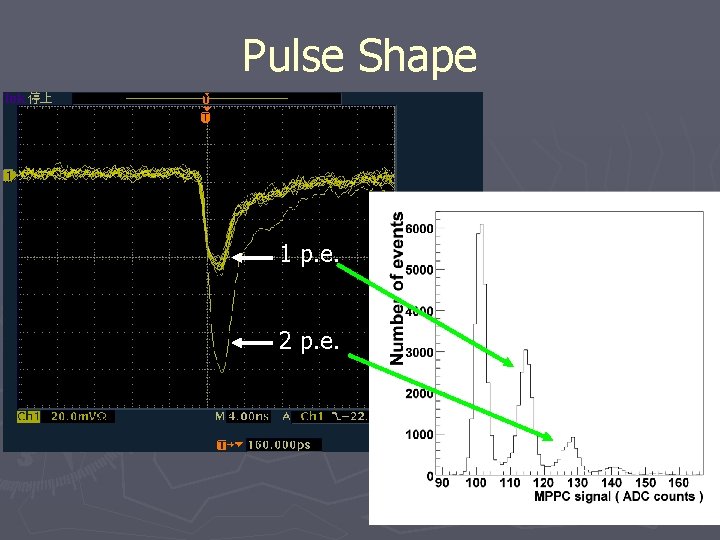 Pulse Shape 1 p. e. 2 p. e. 