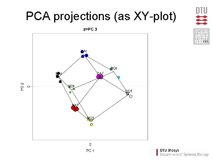 PCA projections (as XY-plot) 