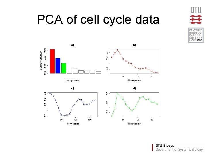 PCA of cell cycle data 