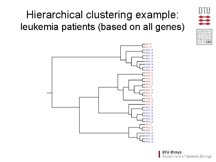 Hierarchical clustering example: leukemia patients (based on all genes) 