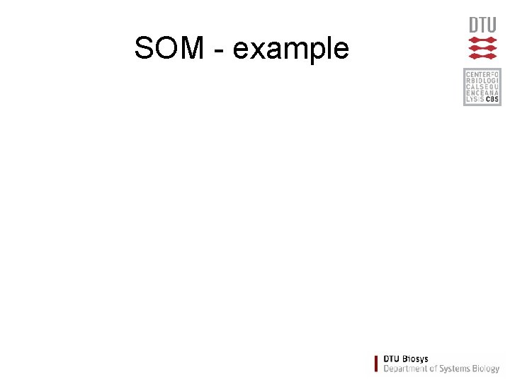 SOM - example 