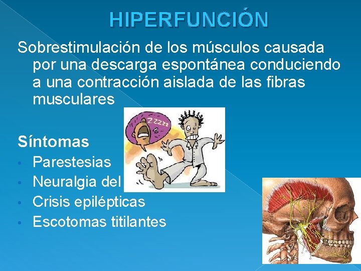 HIPERFUNCIÓN Sobrestimulación de los músculos causada por una descarga espontánea conduciendo a una contracción