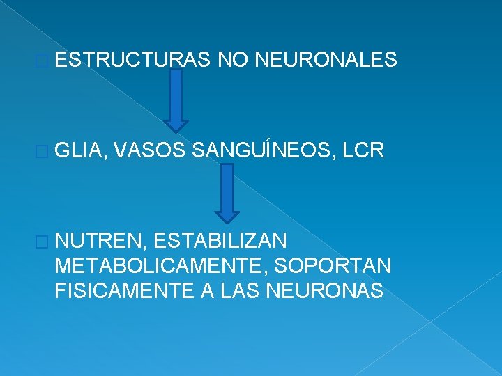 � ESTRUCTURAS � GLIA, NO NEURONALES VASOS SANGUÍNEOS, LCR � NUTREN, ESTABILIZAN METABOLICAMENTE, SOPORTAN