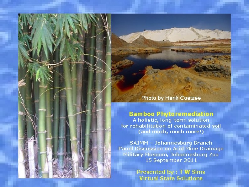 Photo by Henk Coetzee Bamboo Phytoremediation A holistic, long-term solution for rehabilitation of contaminated