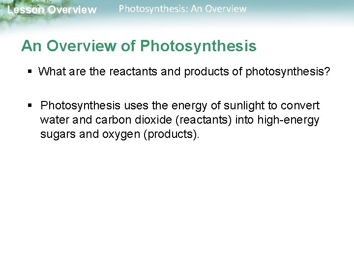 Lesson Overview Photosynthesis: An Overview of Photosynthesis § What are the reactants and products