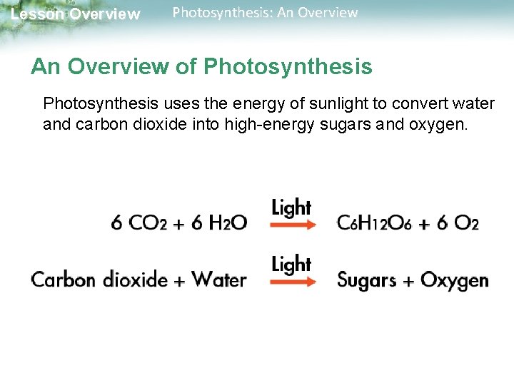 Lesson Overview Photosynthesis: An Overview of Photosynthesis uses the energy of sunlight to convert