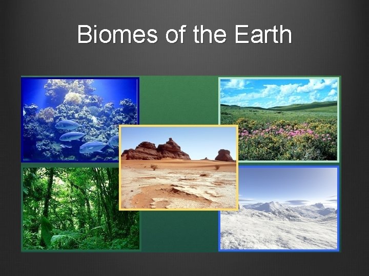 Biomes of the Earth 