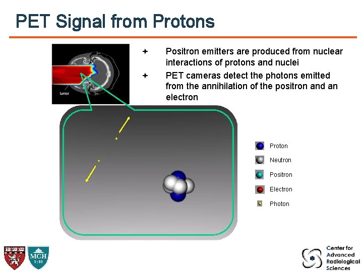 PET Signal from Protons Positron emitters are produced from nuclear interactions of protons and