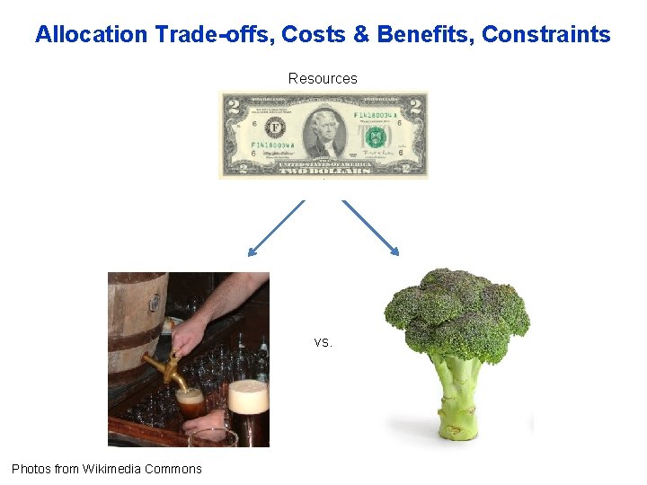 Allocation Trade-offs, Costs & Benefits, Constraints Resources vs. Photos from Wikimedia Commons 