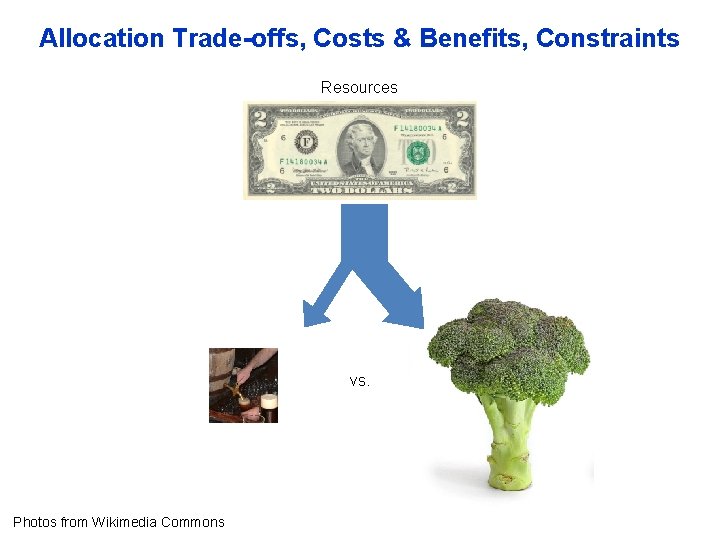 Allocation Trade-offs, Costs & Benefits, Constraints Resources vs. Photos from Wikimedia Commons 