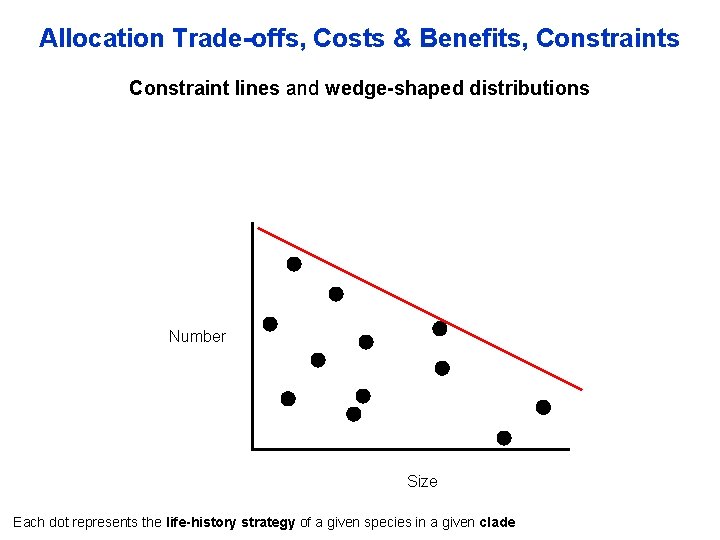 Allocation Trade-offs, Costs & Benefits, Constraints Constraint lines and wedge-shaped distributions Number Size Each