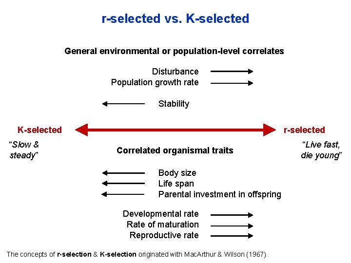 r-selected vs. K-selected General environmental or population-level correlates Disturbance Population growth rate Stability K-selected
