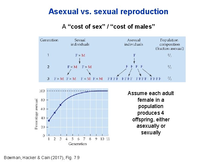 Asexual vs. sexual reproduction A “cost of sex” / “cost of males” Assume each