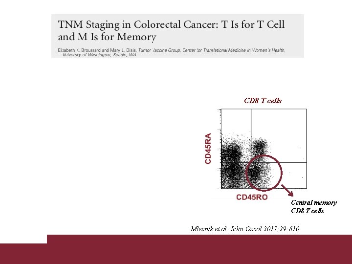CD 8 T cells Central memory CD 8 T cells Mlecnik et al. Jclin