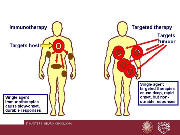 Immunotherapy Targeted therapy Targets tumour Targets host Single agent immunotherapies cause slow-onset, durable responses