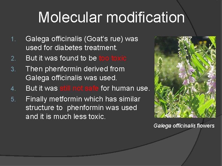 Molecular modification 1. 2. 3. 4. 5. Galega officinalis (Goat’s rue) was used for