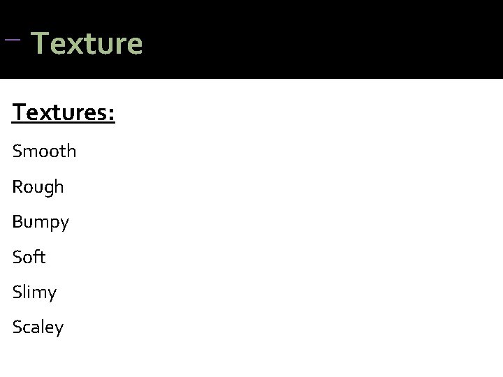 Texture Textures: Smooth Rough Bumpy Soft Slimy Scaley Texture Textures: Smooth Rough Bumpy Soft Slimy Scaley