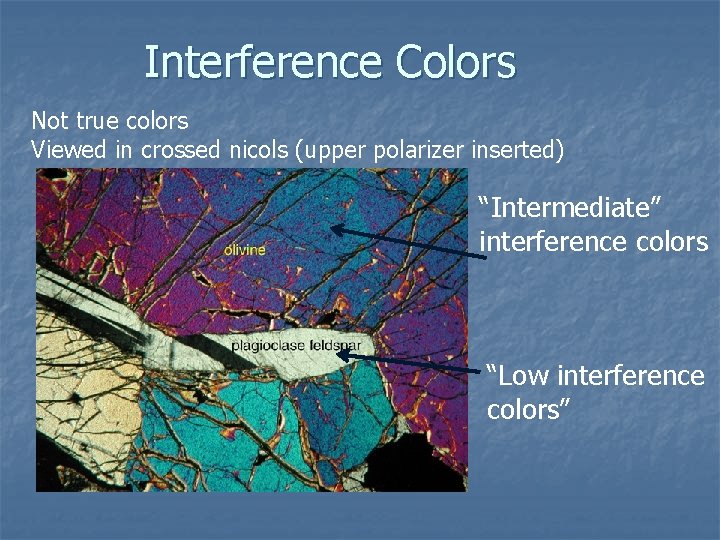 Interference Colors Not true colors Viewed in crossed nicols (upper polarizer inserted) “Intermediate” interference
