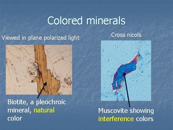 Colored minerals Viewed in plane polarized light Biotite, a pleochroic mineral, natural color Cross