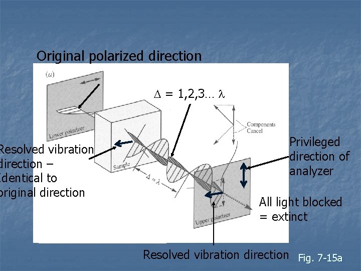 Original polarized direction Resolved vibration direction – Identical to original direction D = 1,